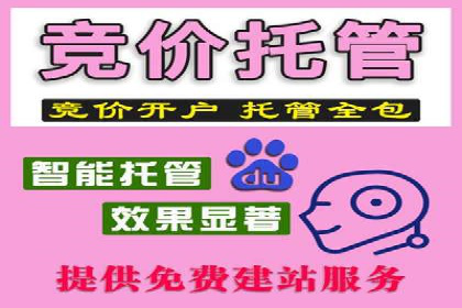 竞价排名中关键词出价策略的案例探讨
